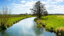web_the-frome-river_credit_istock-133791943.jpg