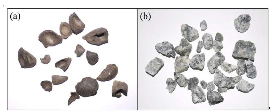 Figure 1: Comparison of oil palm shell and granite aggregates [4]