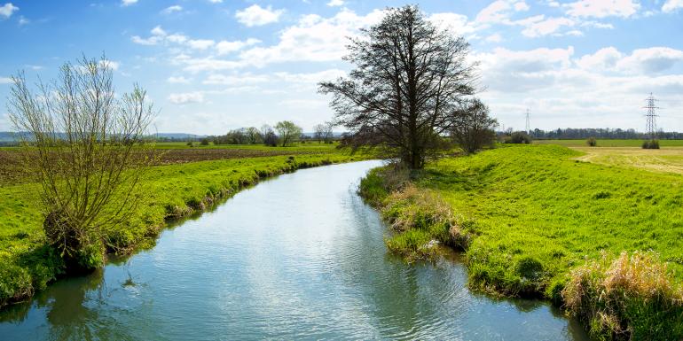 web_the-frome-river_credit_istock-133791943.jpg