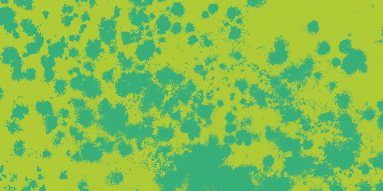 Mold mould mildew or fungas.CREDIT - Istock-1390839319