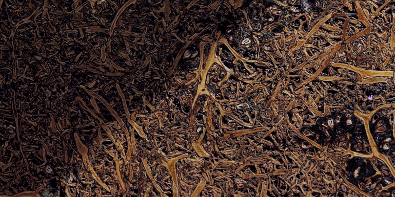 material made from grape stalks generated during wine production supplied