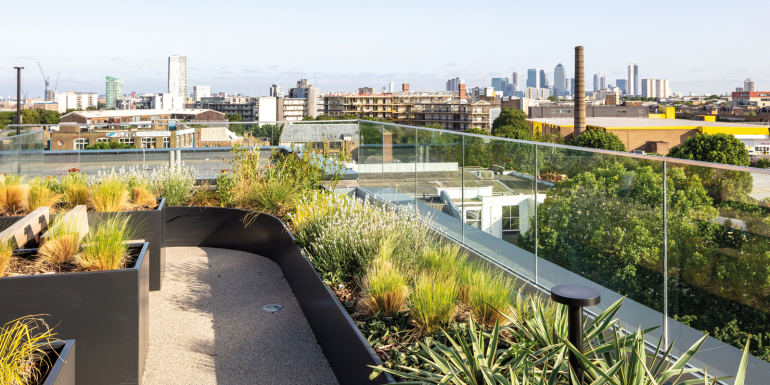 Building Law rooftop garden. CREDIT_craig-auckland