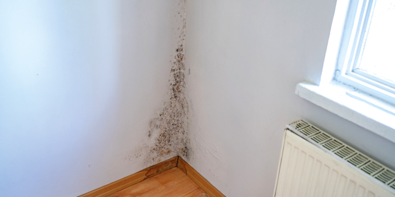 mold corner.CREDIT_istock-2175576338
