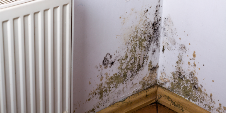 Damp and Mould Assessor Scheme. CREDIT_shutterstock_567487411