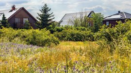Houses with solar panels. CREDIT - Istock-216007615