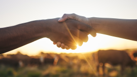 Welcome, handshake and people with b2b farm deal for agriculture, partnership or small business support.CREDIT_shutterstock_2346232375