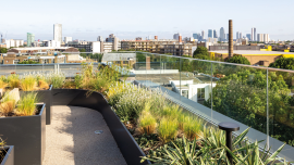 Building Law rooftop garden. CREDIT_craig-auckland