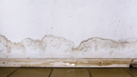 Salt of the earth. CREDIT_istock-1195002670