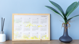 Calendar year 2024 schedule.CREDIT_shutterstock_2397208155