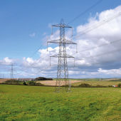 Pylons as far as the eye can see in the Dorset Area of Outstanding Natural Beauty (AONB) 