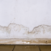 Salt of the earth. CREDIT_istock-1195002670