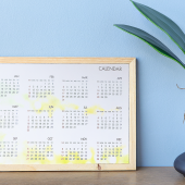 Calendar year 2024 schedule.CREDIT_shutterstock_2397208155