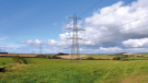 Pylons as far as the eye can see in the Dorset Area of Outstanding Natural Beauty (AONB) 