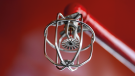 sprinkler.CREDIT_shutterstock_2611606717